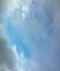 13465977_553383828728_7743035887800858876_n