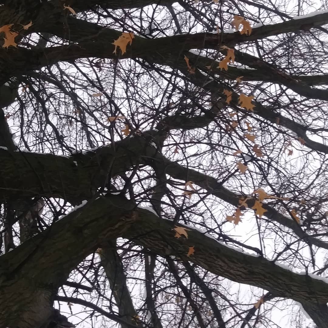 50303789_585406639758_1760890897202937856_o